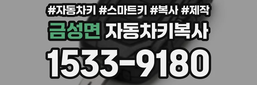 금성면 자동차키복사