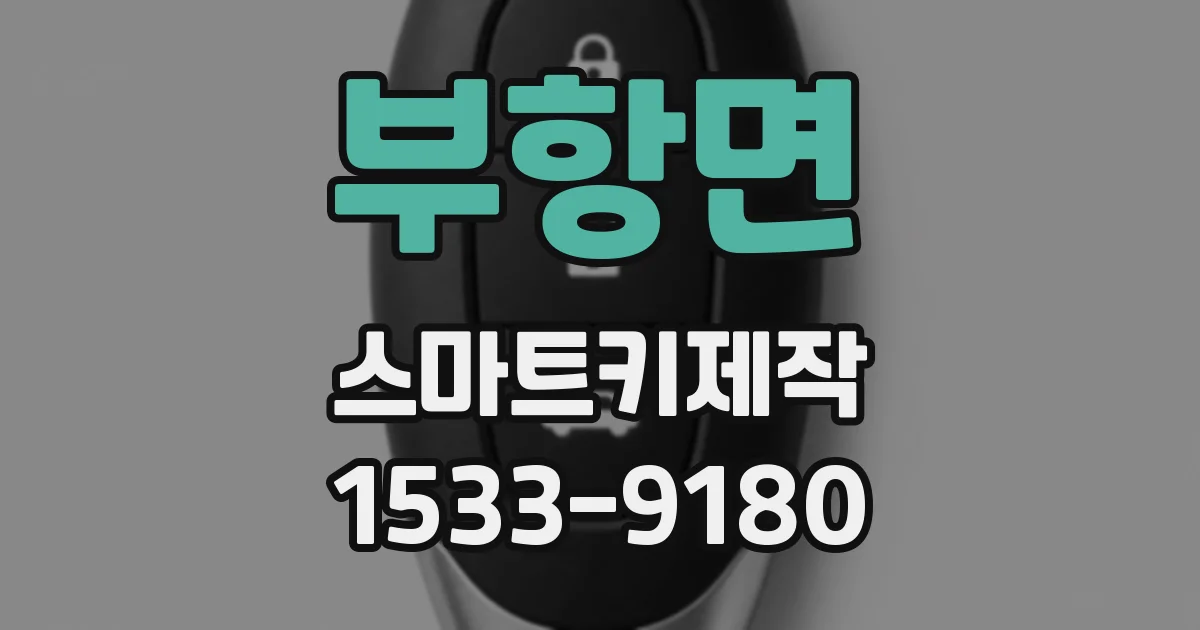 부항면 스마트키제작