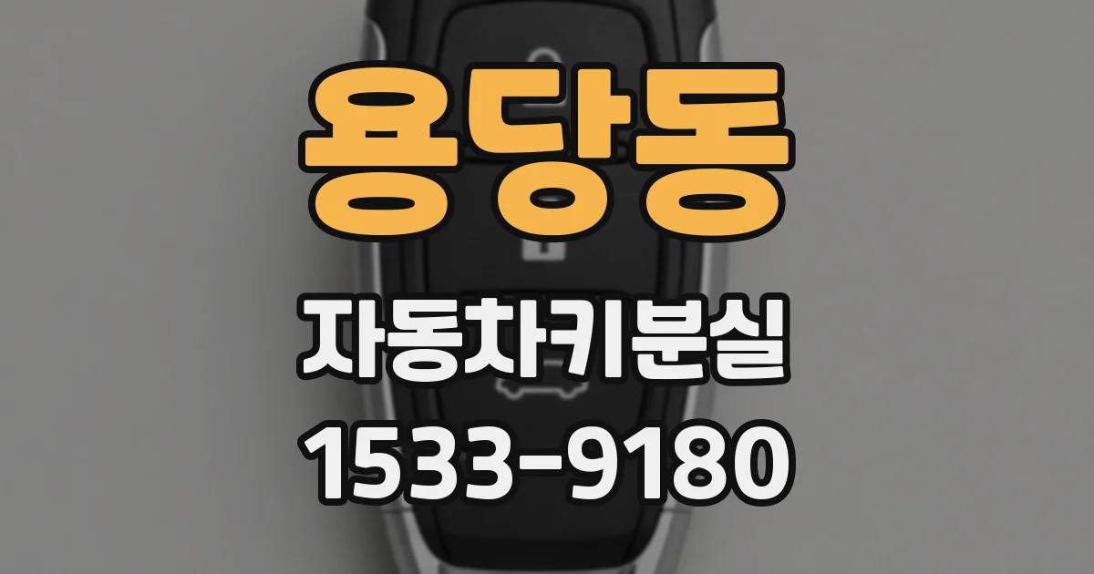 용당동 자동차키분실