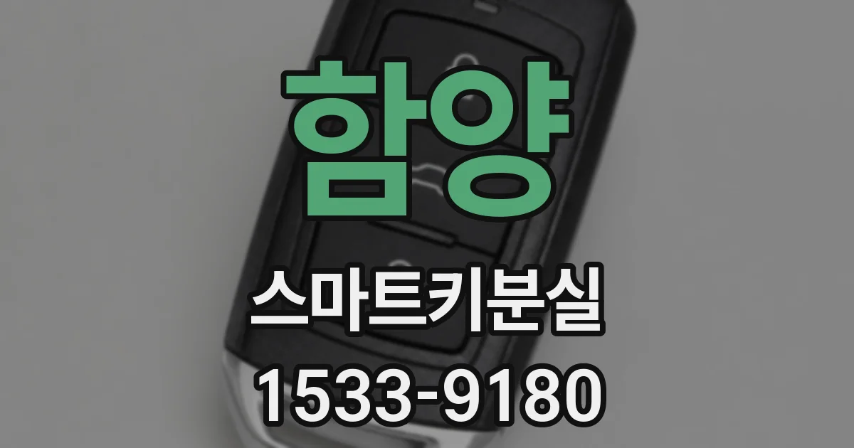 함양 스마트키분실