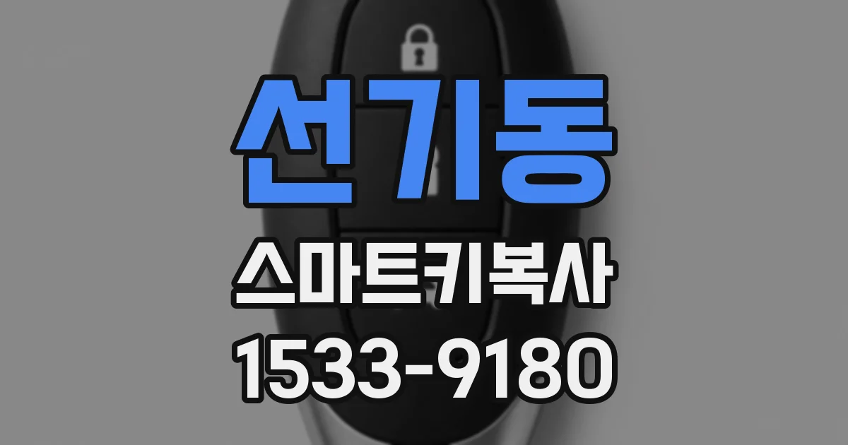 선기동 스마트키복사
