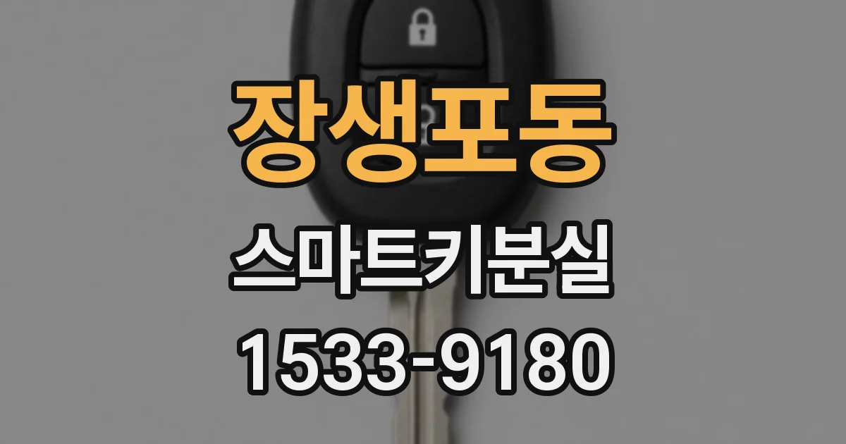 장생포동 스마트키분실