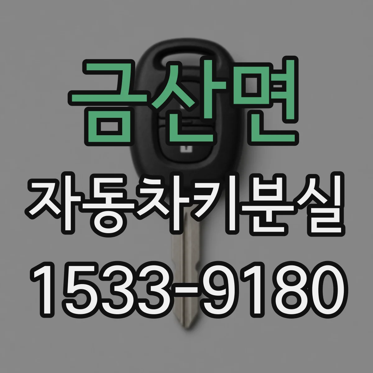 금산면 자동차키분실