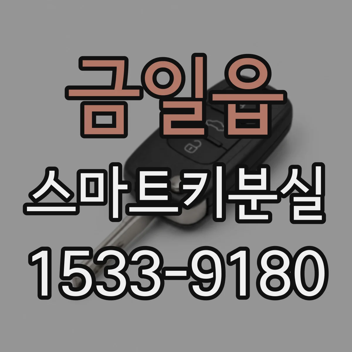 금일읍 스마트키분실