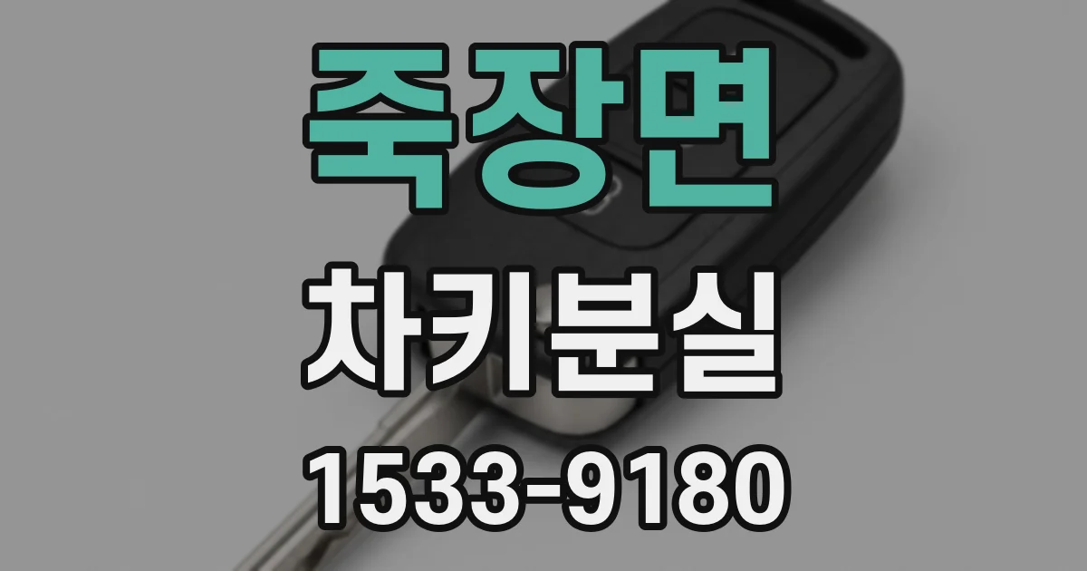 죽장면 차키분실