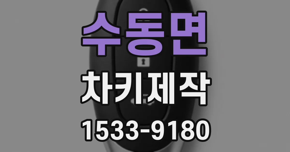 수동면 차키제작