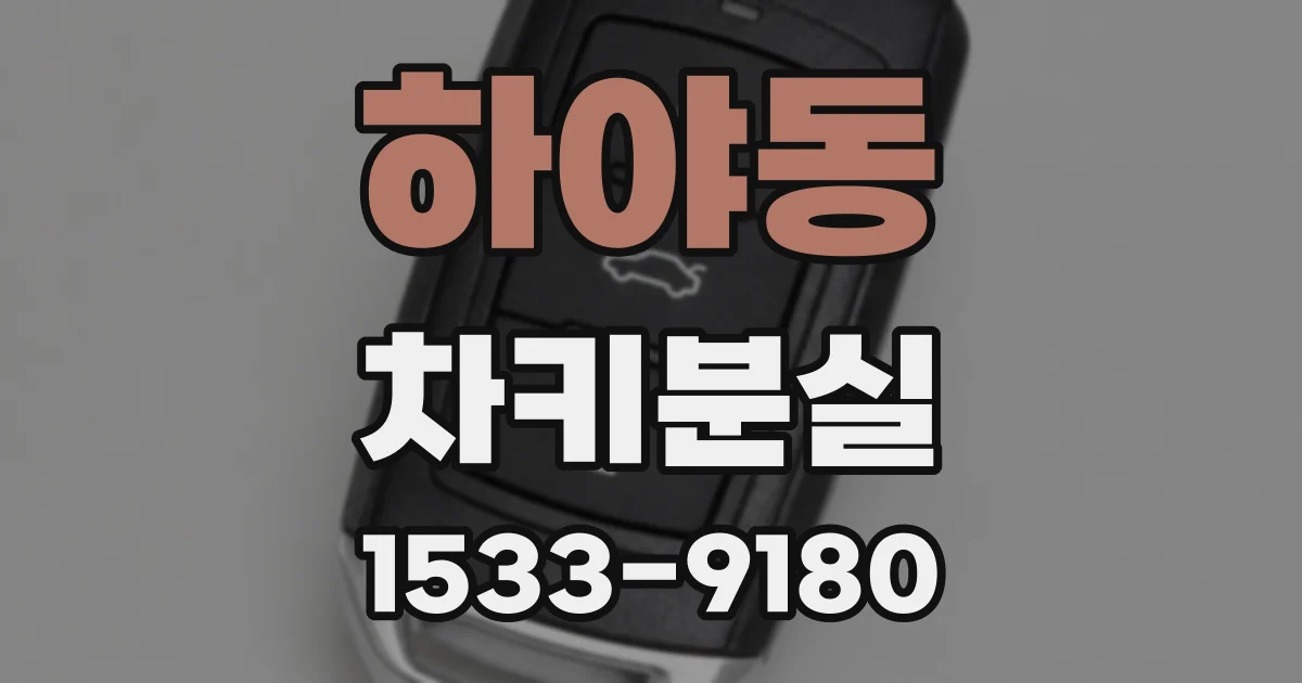 하야동 차키분실