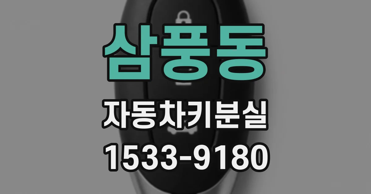 삼풍동 자동차키분실