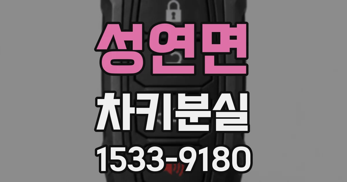 성연면 차키분실