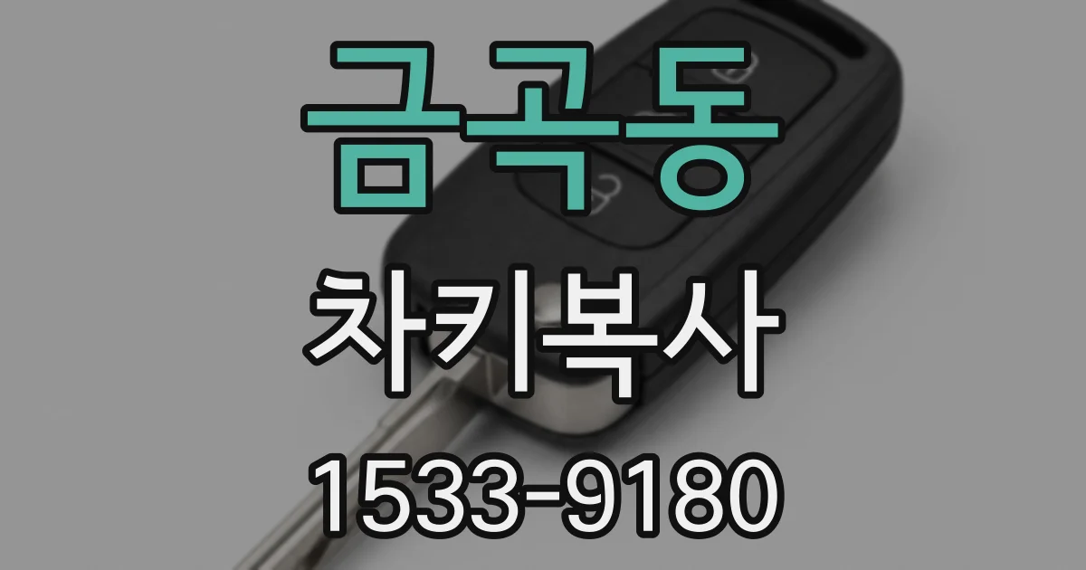 금곡동 차키복사