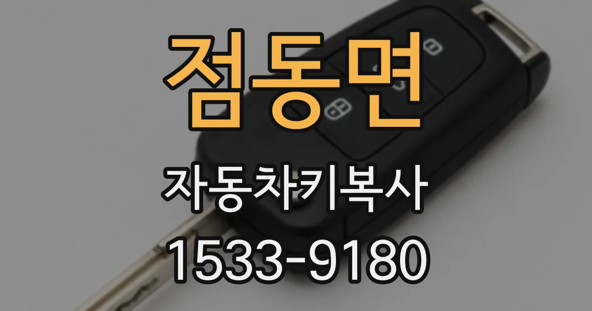 점동면 자동차키복사