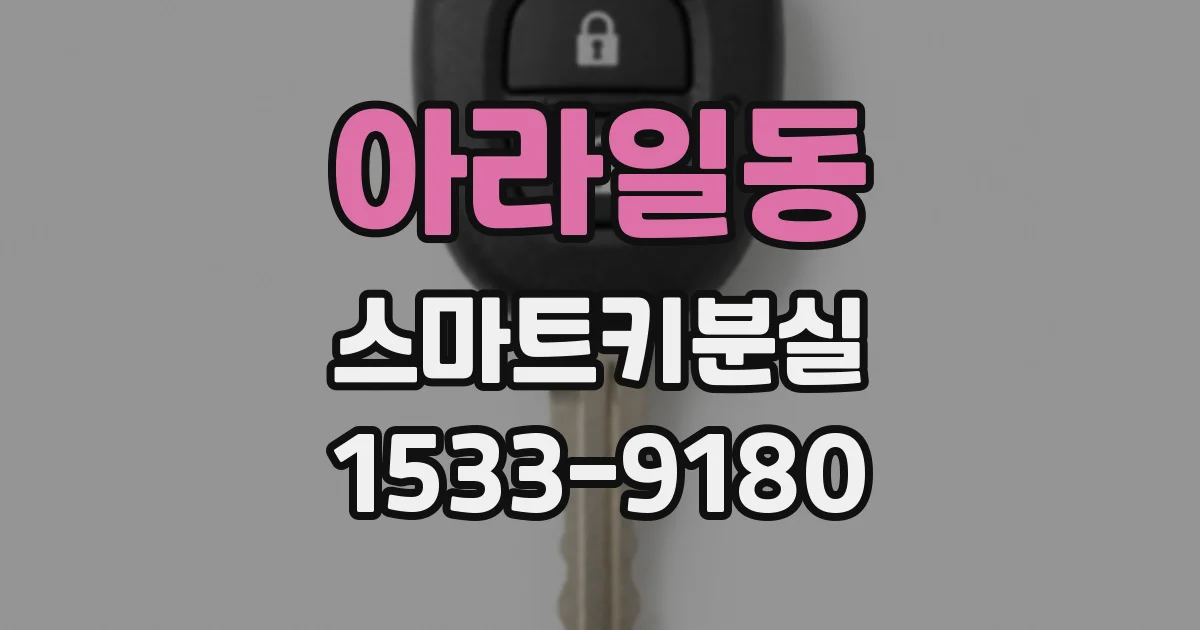 아라일동 스마트키분실