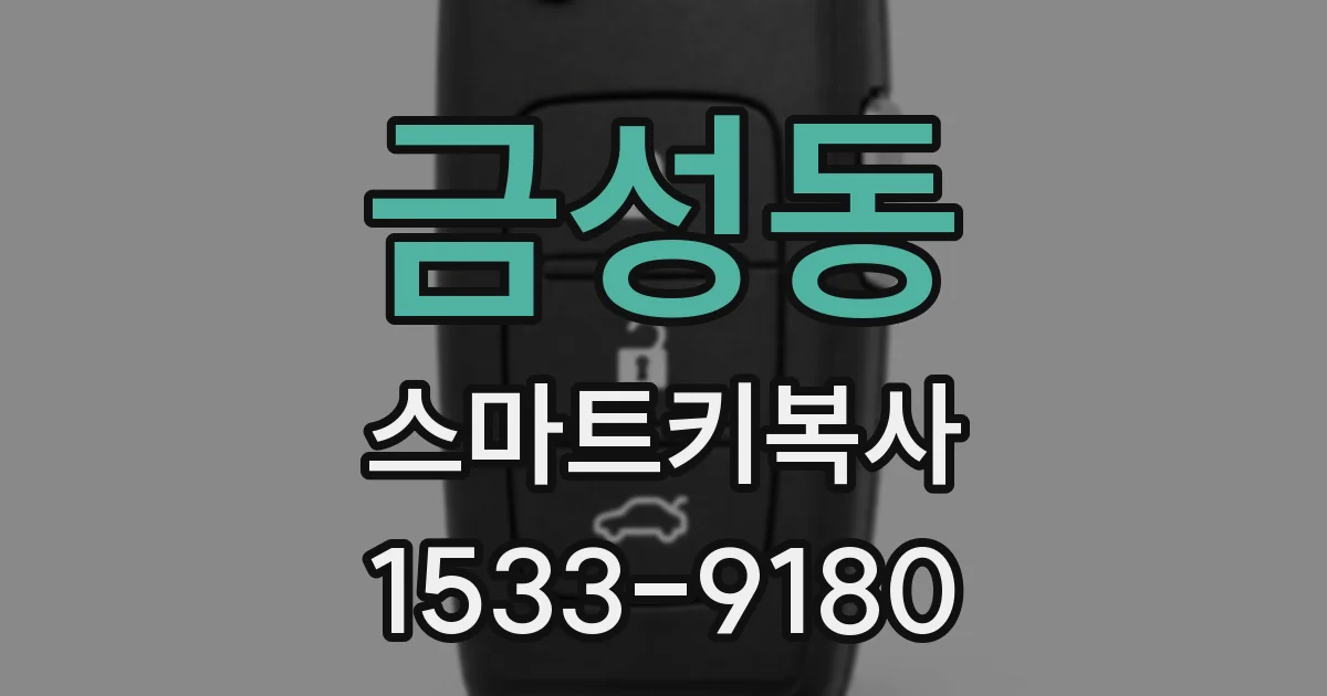 금성동 스마트키복사