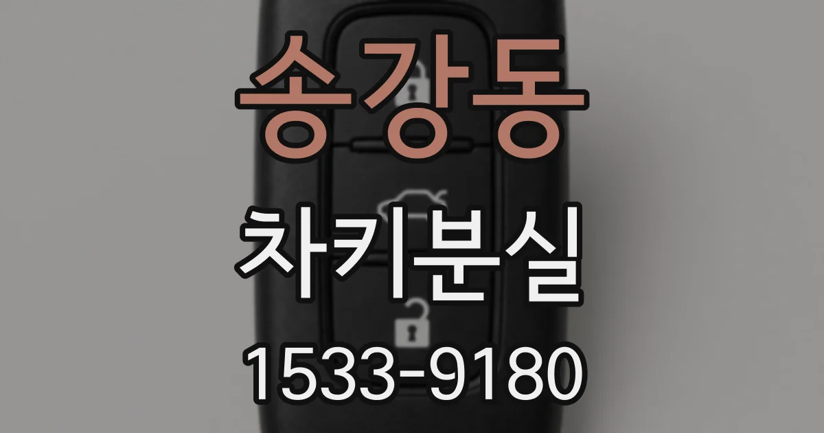 송강동 차키분실