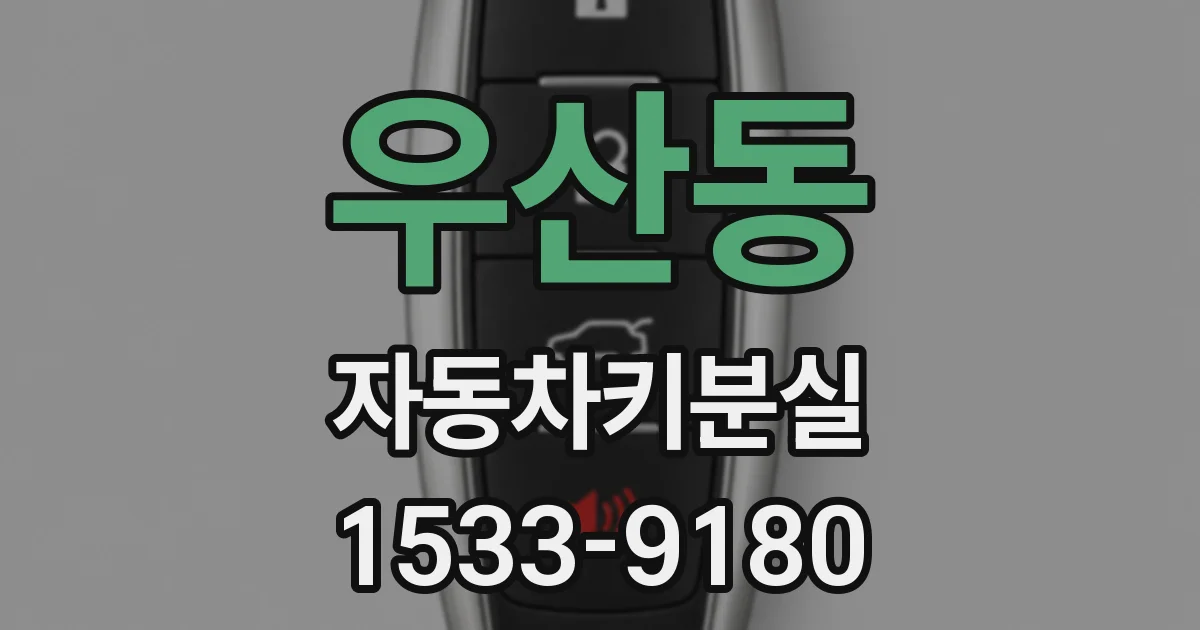 우산동 자동차키분실
