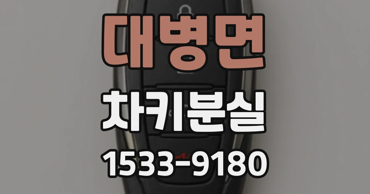 대병면 차키분실