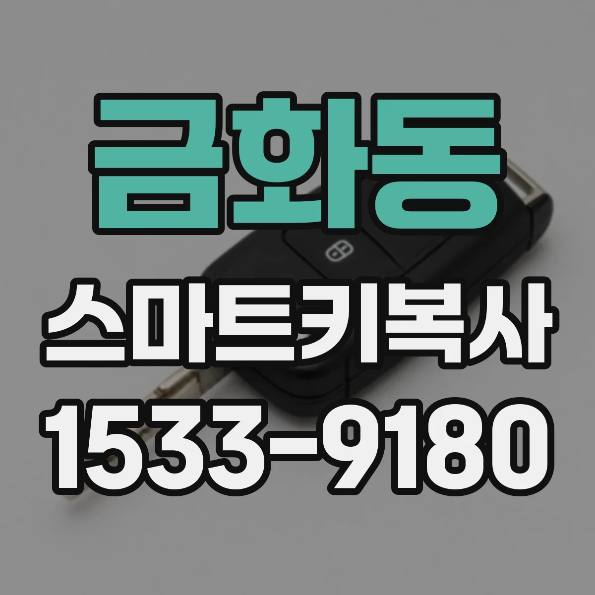 금화동 스마트키복사