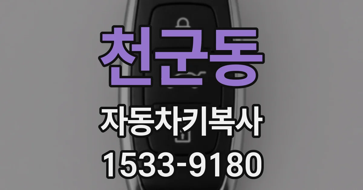 천군동 자동차키복사