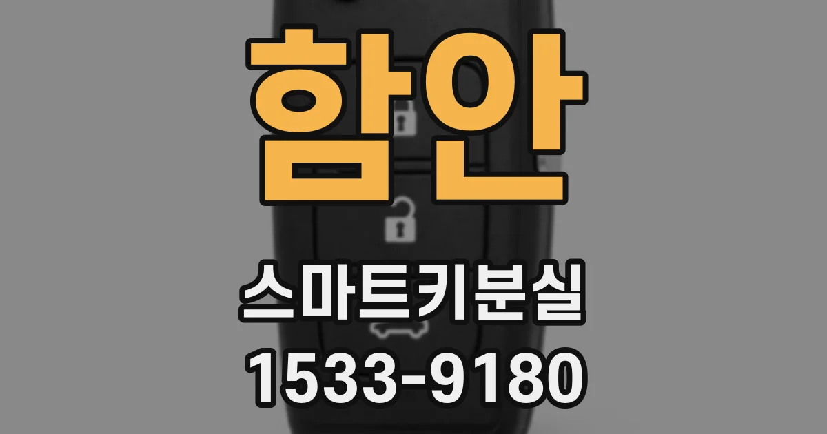 함안 스마트키분실