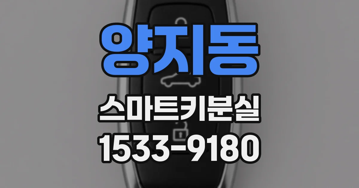 양지동 스마트키분실