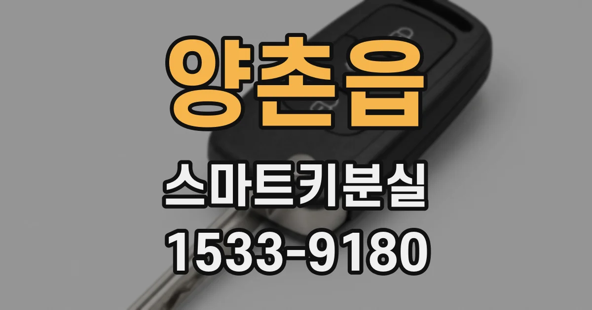 양촌읍 스마트키분실