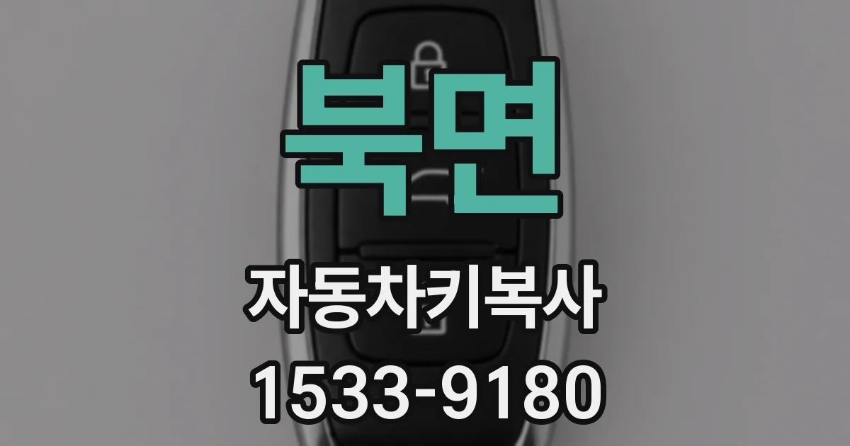 북면 자동차키복사