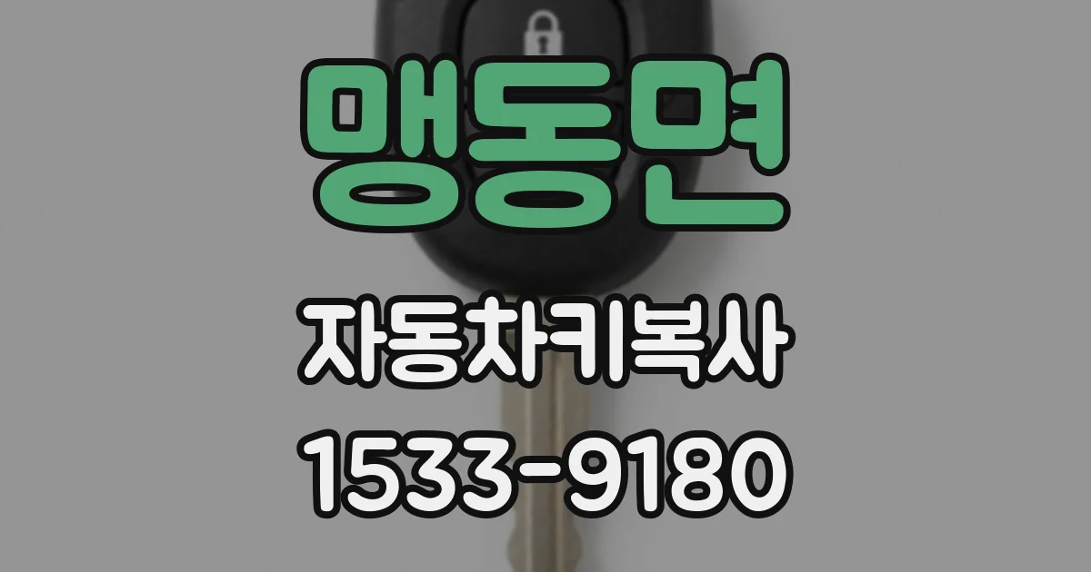 맹동면 자동차키복사