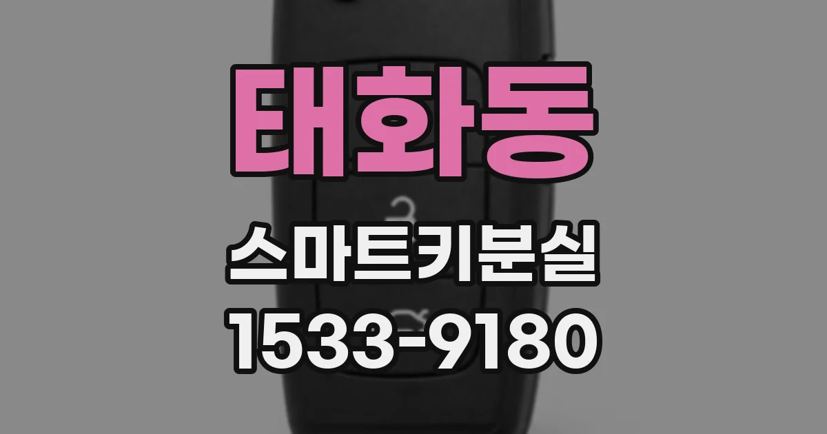 태화동 스마트키분실