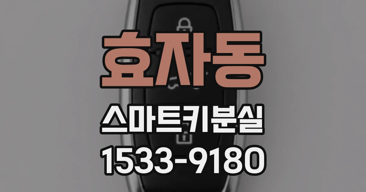 효자동 스마트키분실