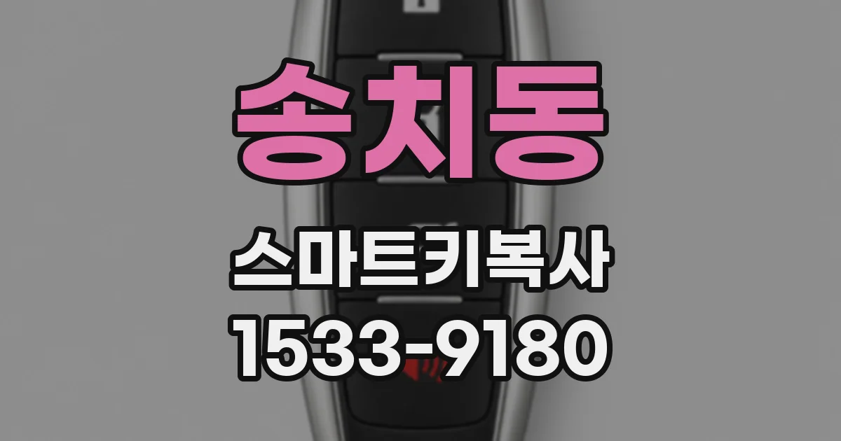 송치동 스마트키복사