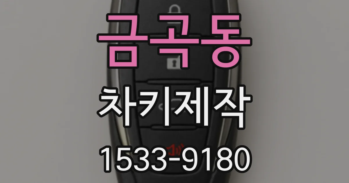 금곡동 차키제작