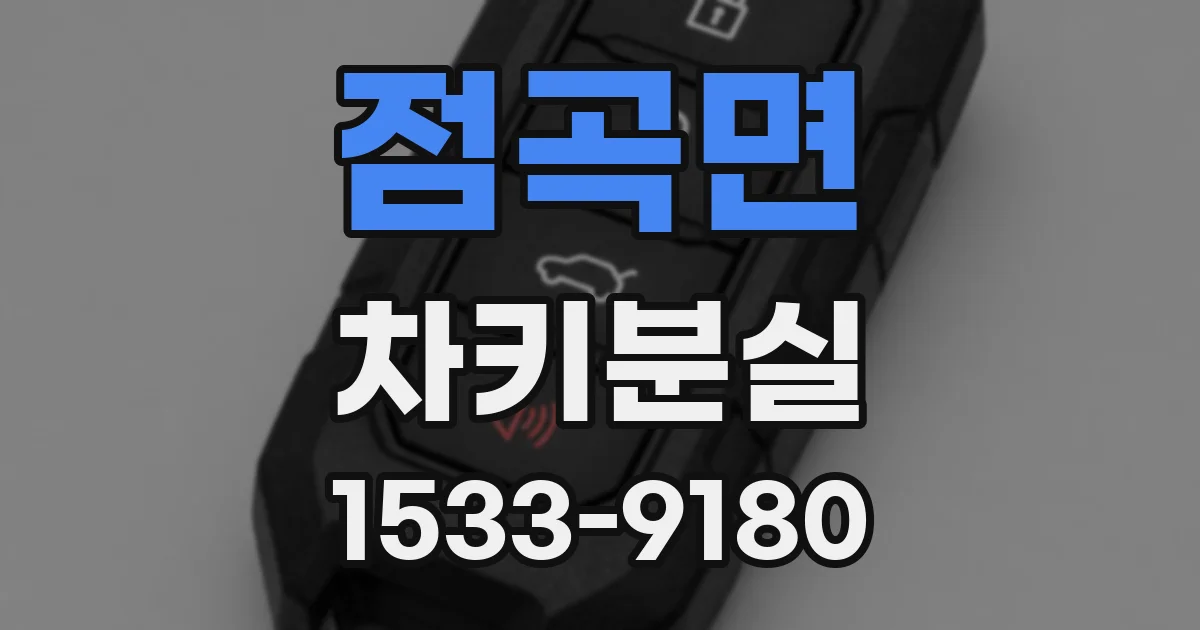 점곡면 차키분실