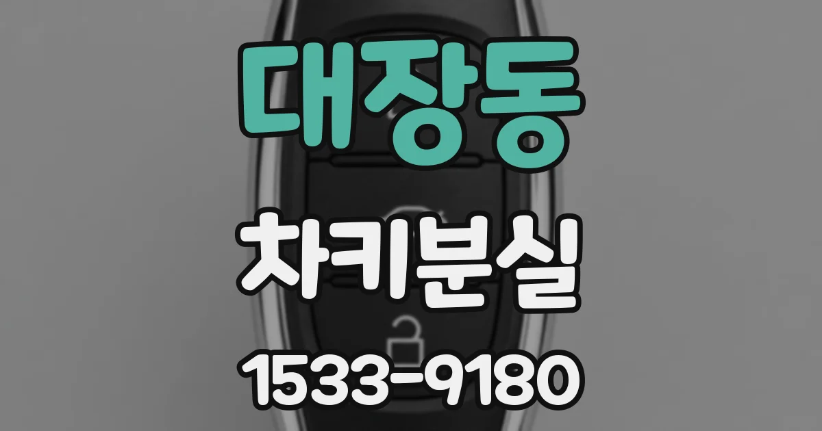 대장동 차키분실
