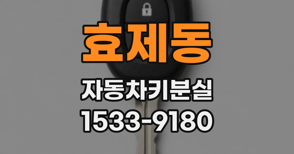 효제동 자동차키분실