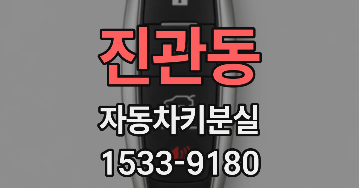 진관동 자동차키분실