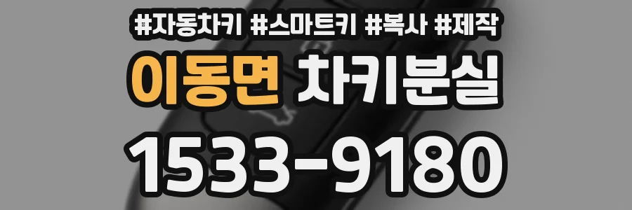 이동면 차키분실