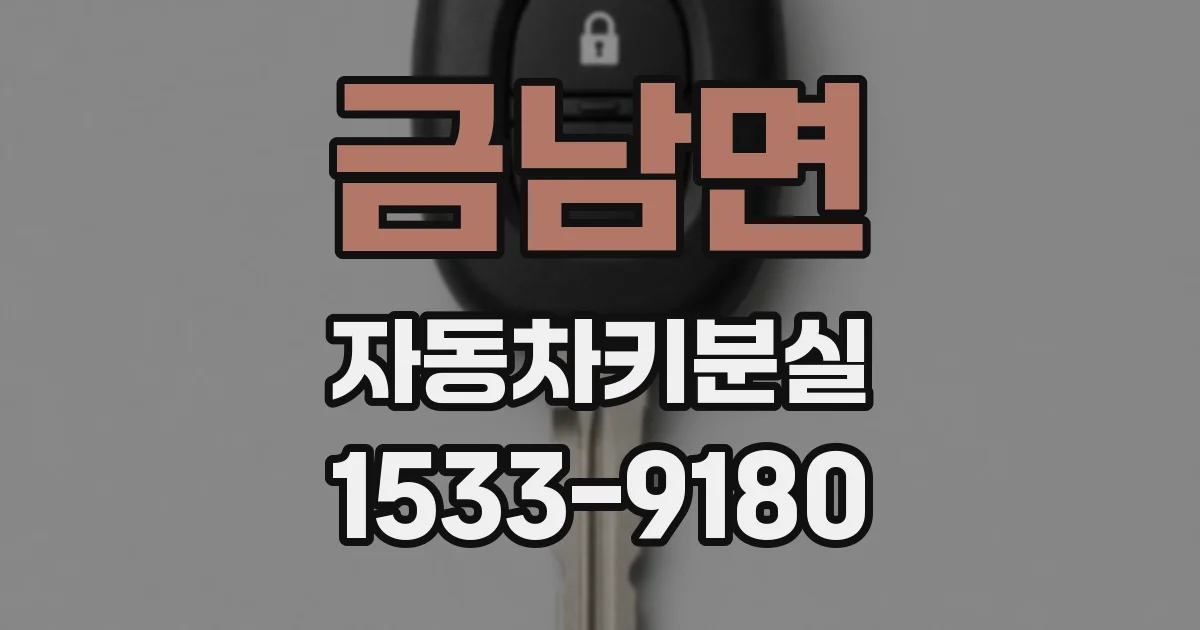 금남면 자동차키분실