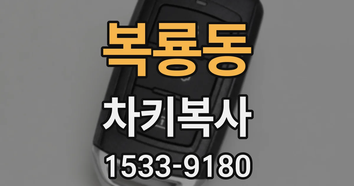 복룡동 차키복사