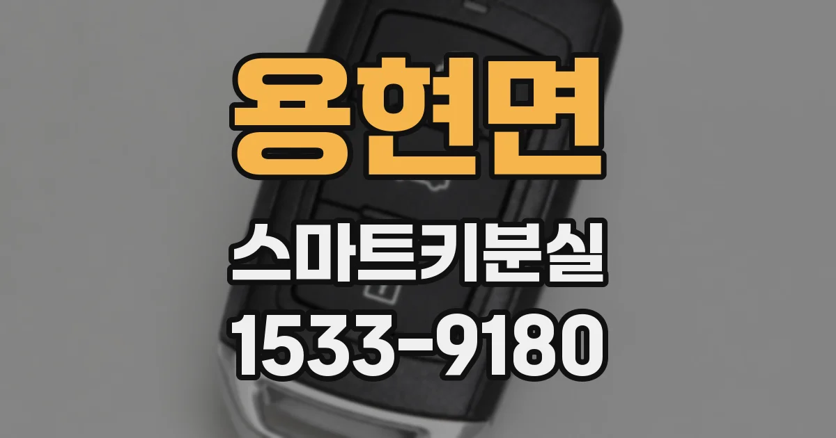 용현면 스마트키분실