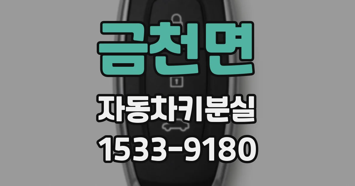 금천면 자동차키분실