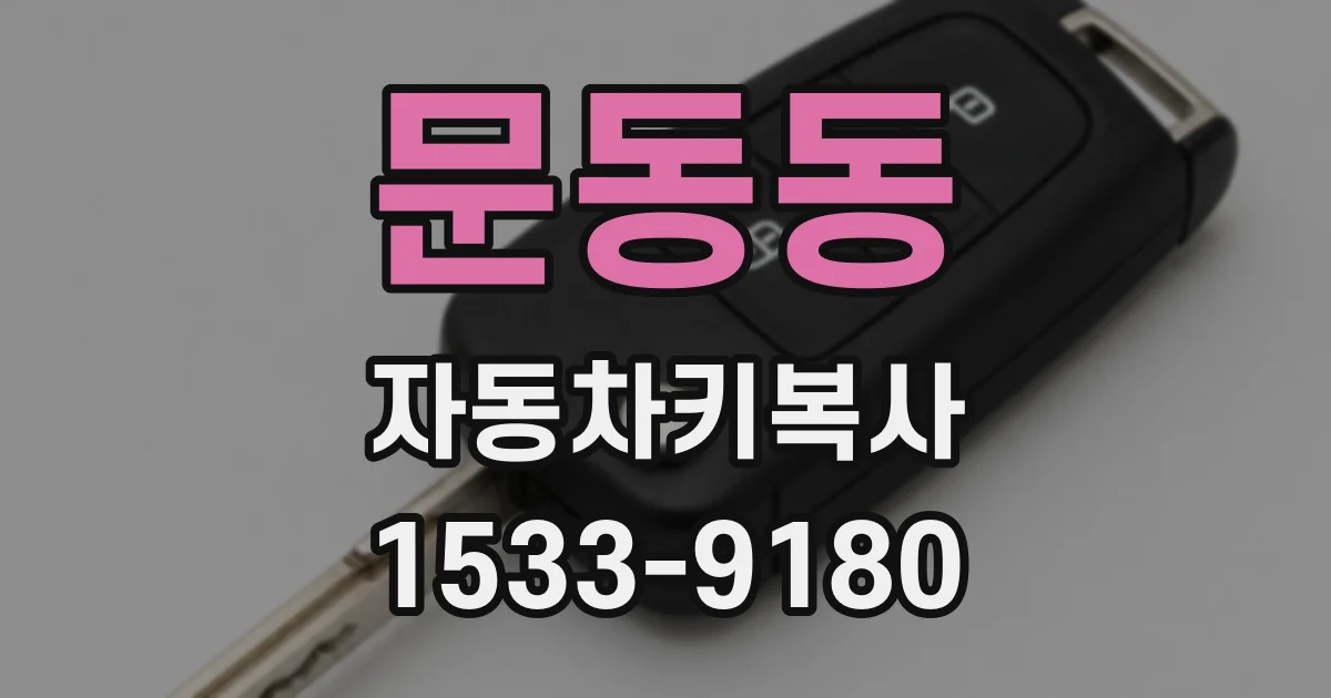 문동동 자동차키복사