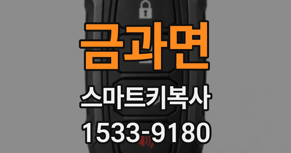 금과면 스마트키복사