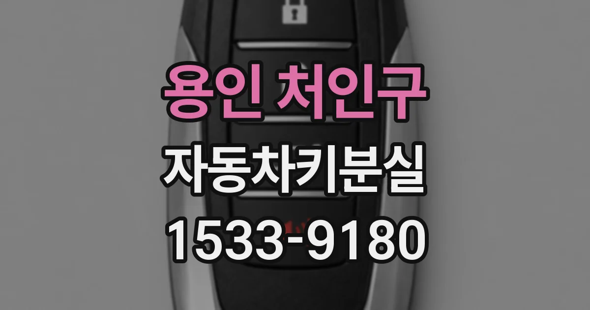 용인 처인구 자동차키분실