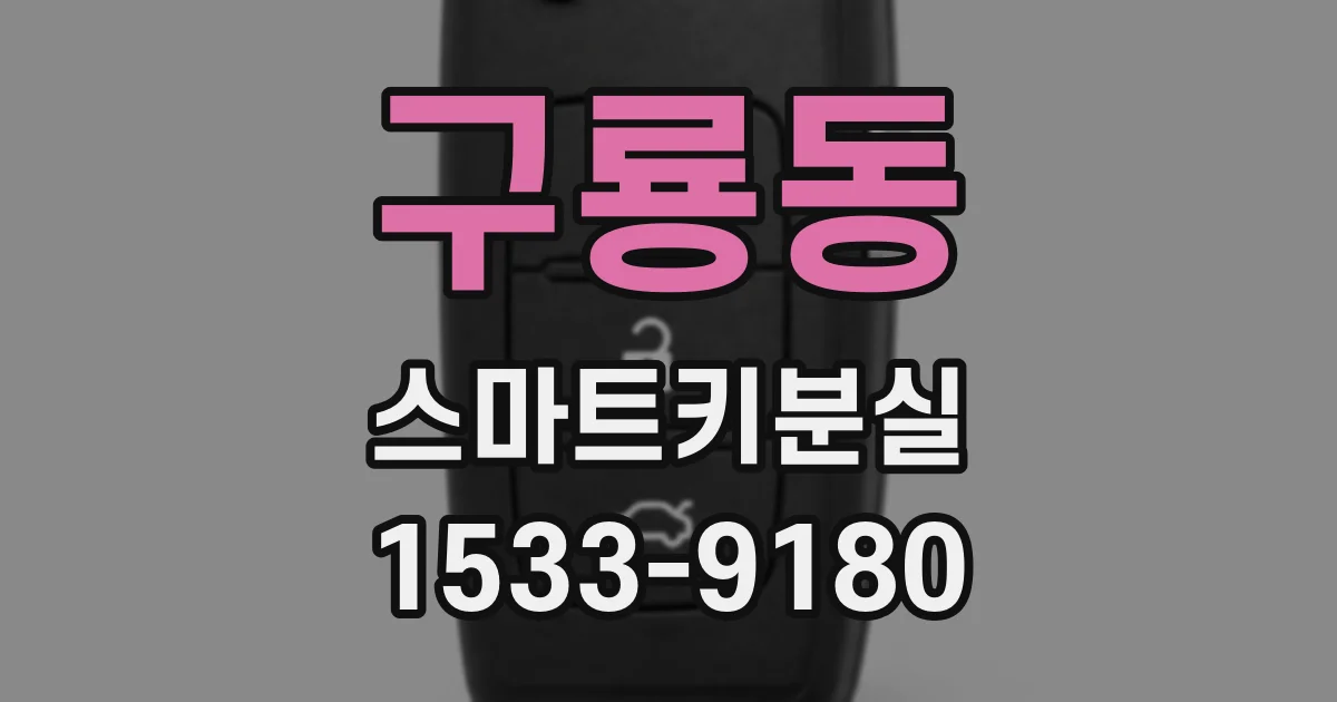 구룡동 스마트키분실