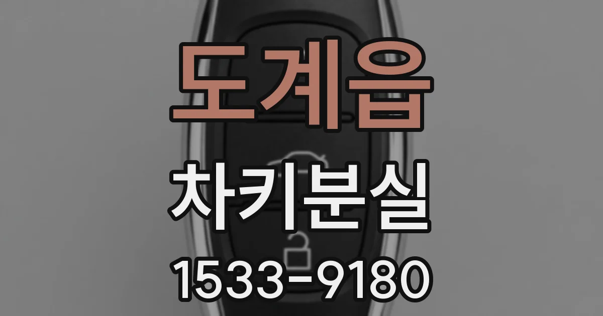 도계읍 차키분실