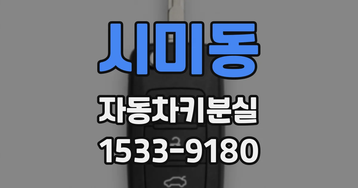 시미동 자동차키분실