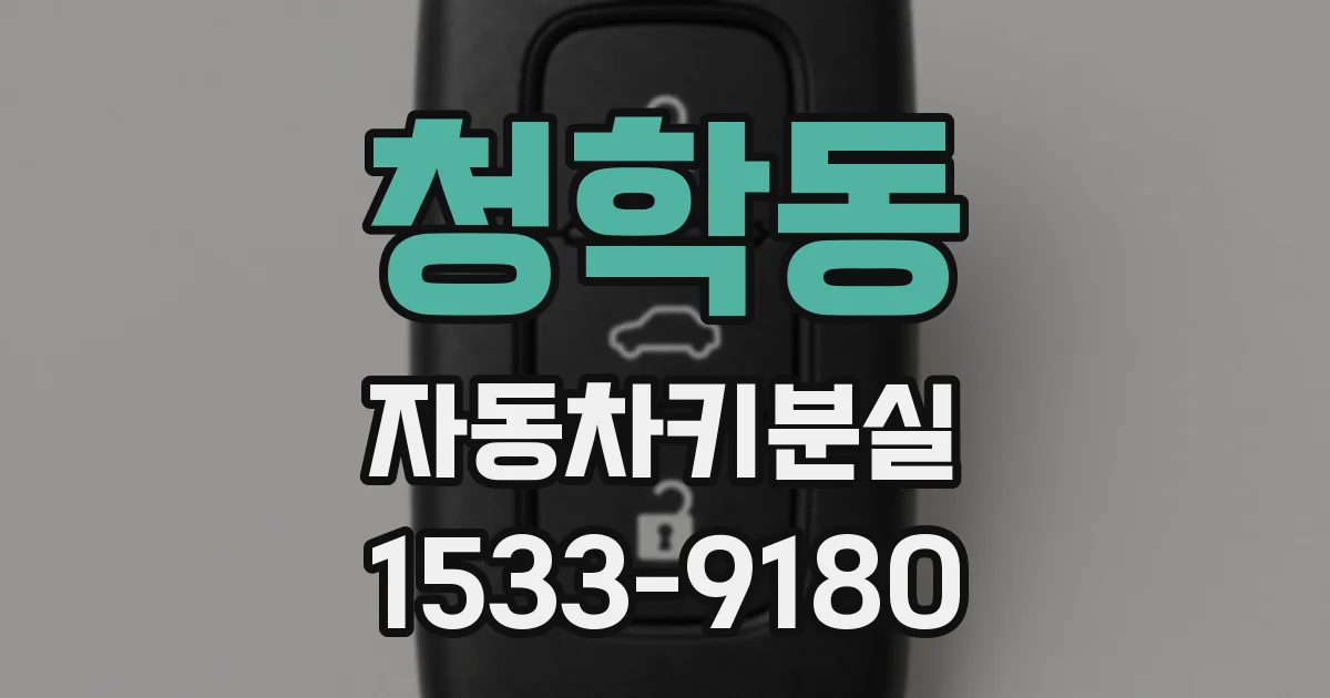 청학동 자동차키분실