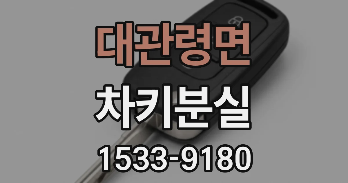 대관령면 차키분실