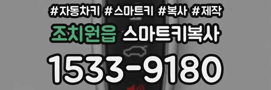 조치원읍 스마트키복사