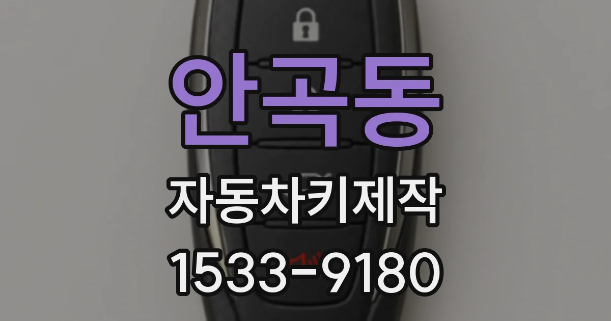 안곡동 자동차키제작